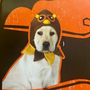 New owl costume for dog, collar and hat.